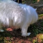Fletcher explores