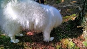 Fletcher explores