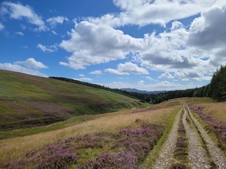 Open moorland on the Atholl Estate